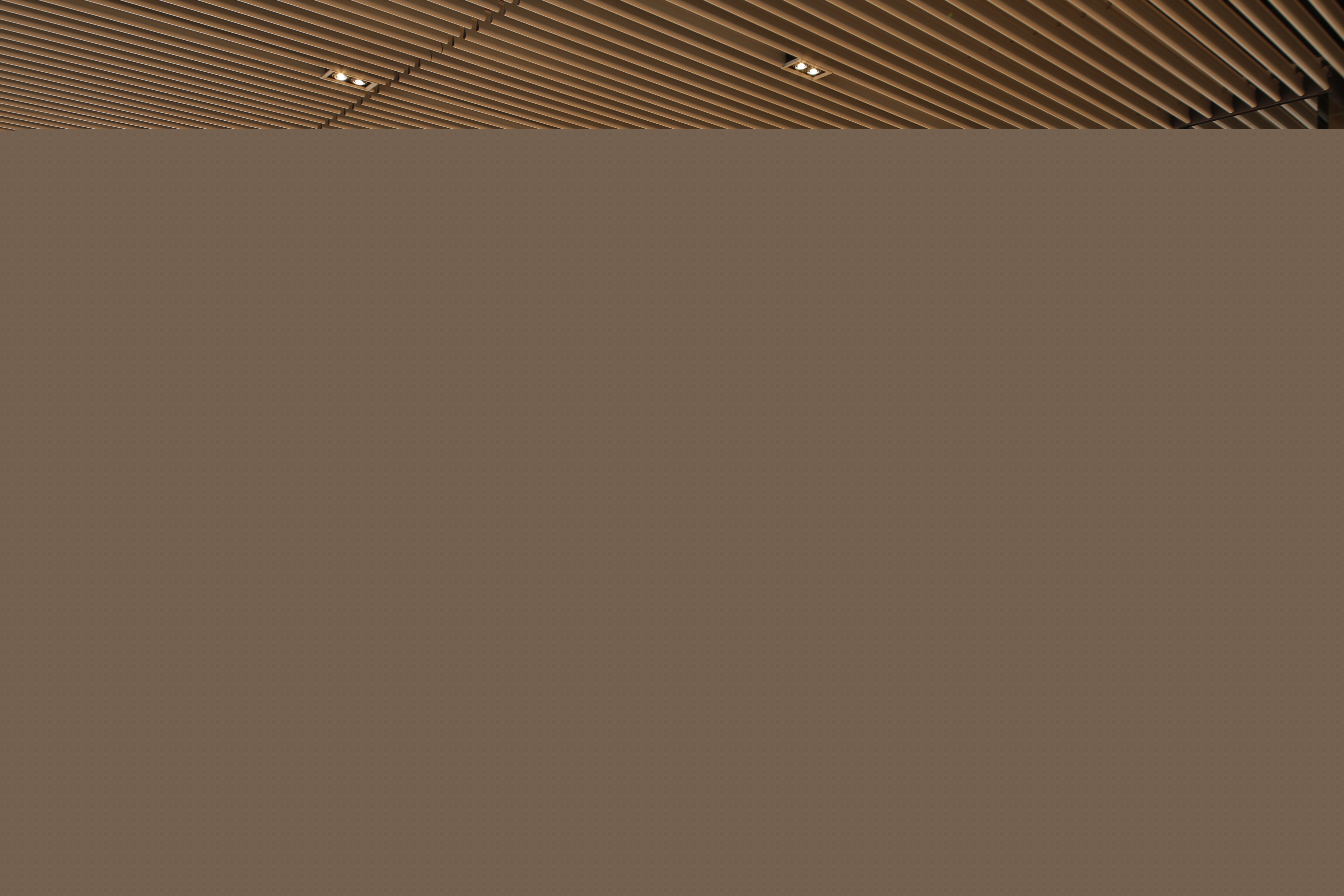 b1a8bf0e7631a8e5699a94c8bd53ee4e.jpg